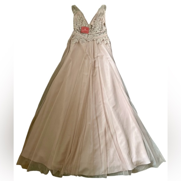 Watters Bridesmaids Aria Lace V-Neck Tulle Gown 6603-Brielle in Blush New Sz 4 - Picture 9 of 12